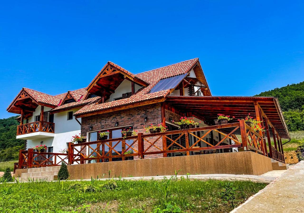 Pensiunea Balkan Gornea Екстер'єр фото